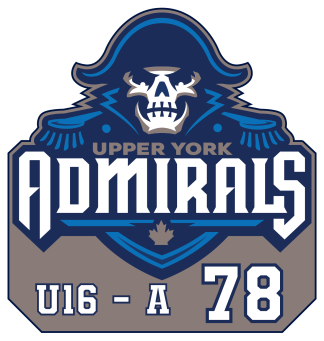 Car Window Sticker with Number, Age and Level