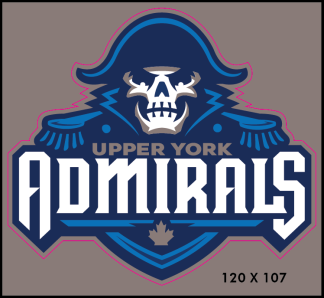 Team Logo Car Window Decal (5" x 5")