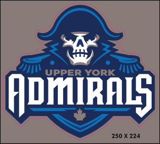 Team Logo Car Window Decal (10" x 9")