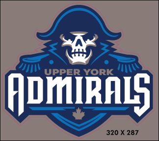 Team Logo Car Window Decal (13" x 12")