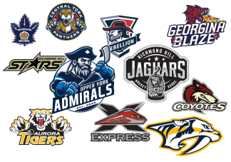 Hockey Stickers & Accessories